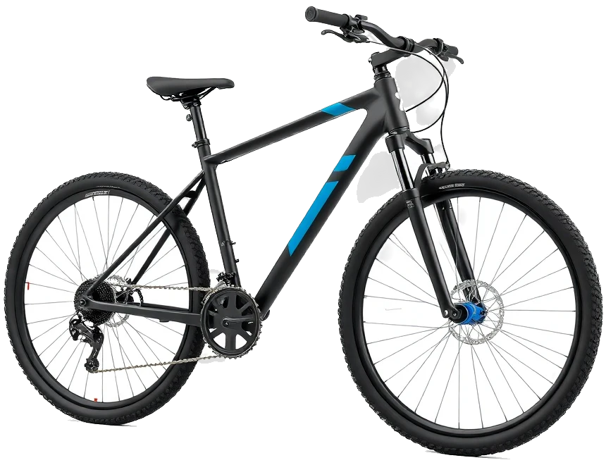 Bicicletas